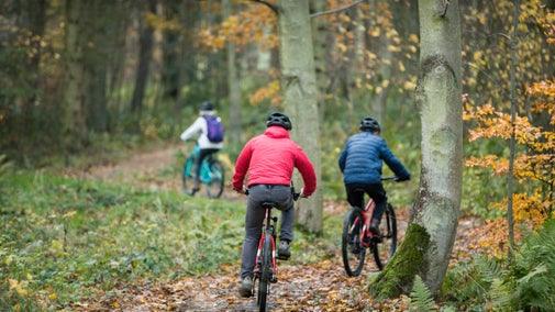 Cycling is the perfect way to explore the wider park
